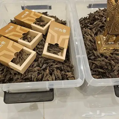 عرض 4 أوقيات تايقر شامل التوصيل لجميع المناطق 2