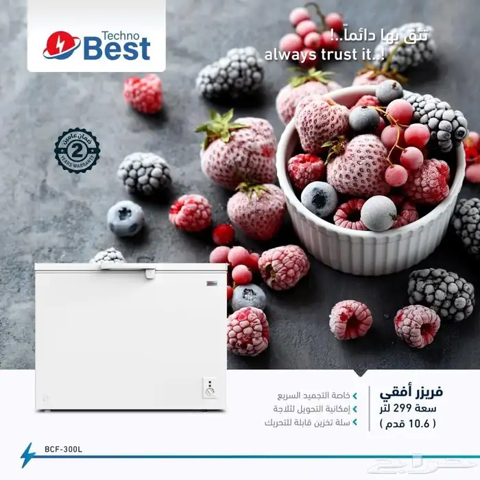 فريزر أفقي تكنو بيست299 لتر 10.6 قدم مكعب - أبيض - 4
