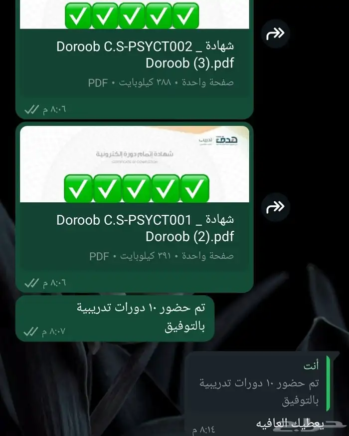 حضور دورات تدريبية معتمدة 0