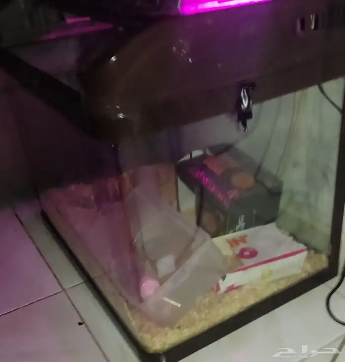Fish aquarium   Pet cage. حوض أسماك   قفص حيوانات أليفة 3