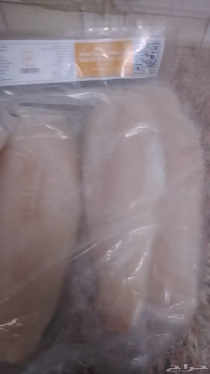 سمك فلية 3