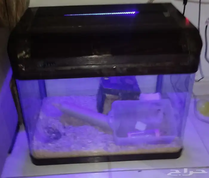Fish aquarium   Pet cage. حوض أسماك   قفص حيوانات أليفة 5