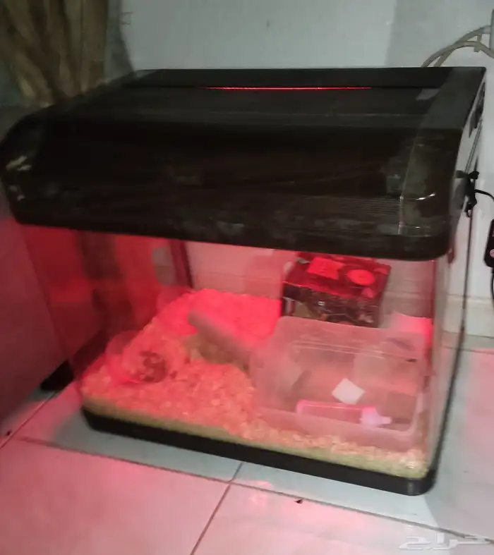 Fish aquarium   Pet cage. حوض أسماك   قفص حيوانات أليفة 1