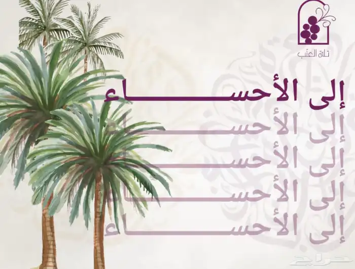 كاتبة محتوى اعلاني ومصممة جرافيك وادارة سوشل ميديا 2