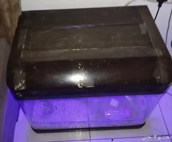 Fish aquarium   Pet cage. حوض أسماك   قفص حيوانات أليفة 4