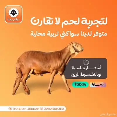 ذبايح أضاحي جدة - اضاحي حري - نعيمي - سواكني - تيوس اضحيه 0