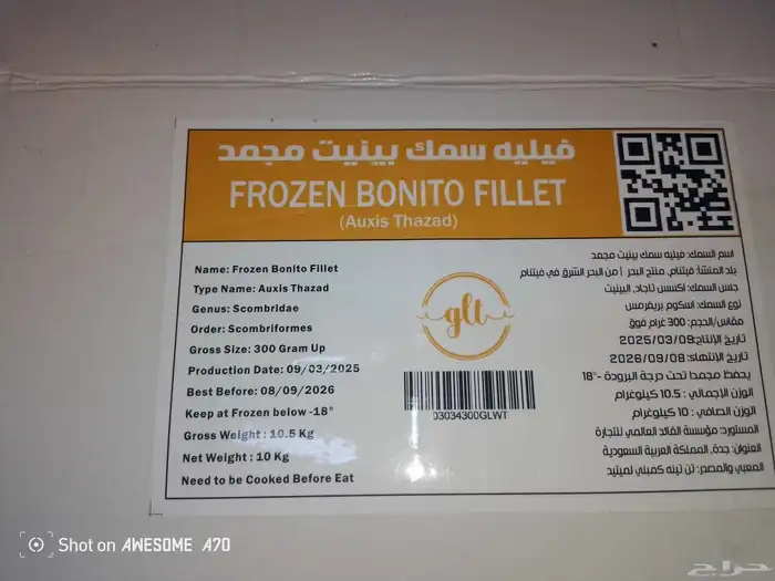 سمك فلية 4