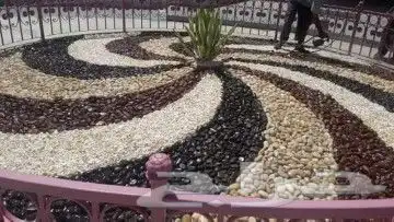 زراعة فلل وقصور 1