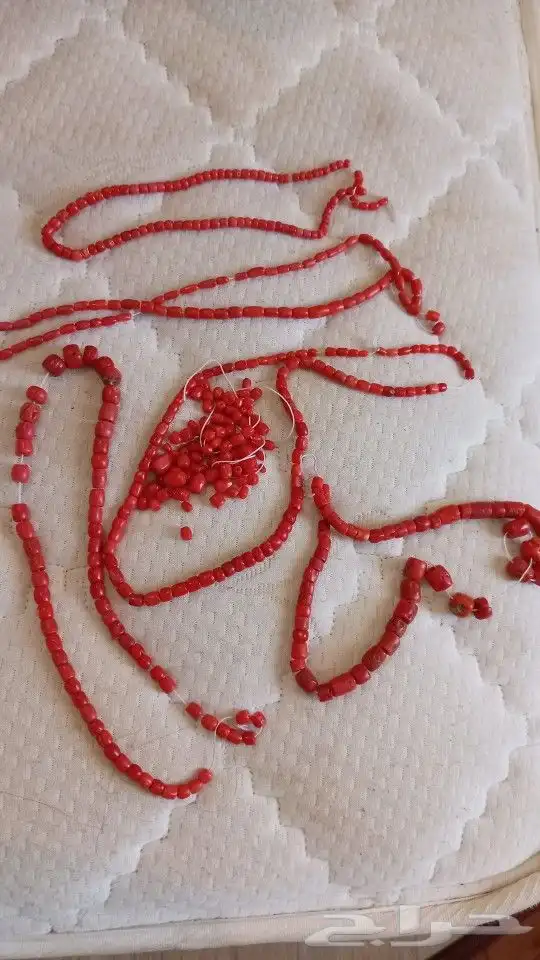 مرجان تونسي اصلي شرط 0