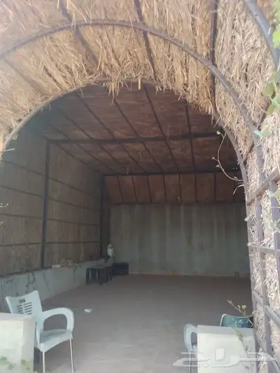 نقوم بتنفيذ جلسات العريش وتركيب الشبوك والسواتر وتوريد أنخيل 2