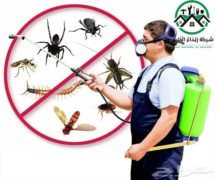 مكافحة حشرات رش مبيدات   50 ريال 0