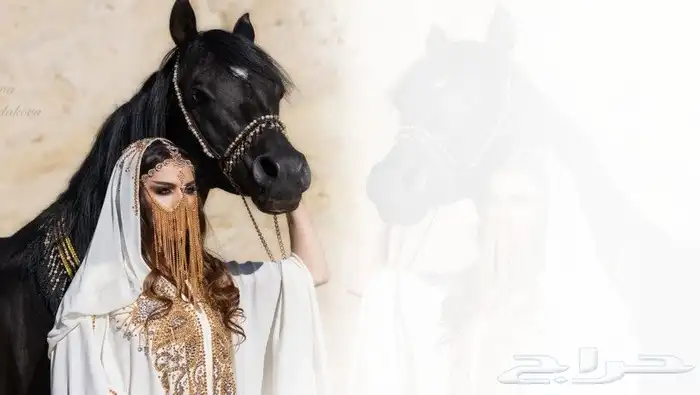 استديو احلام الطرب لتنفيذ الزفات والشيلات بالاسماء جميع المن 10