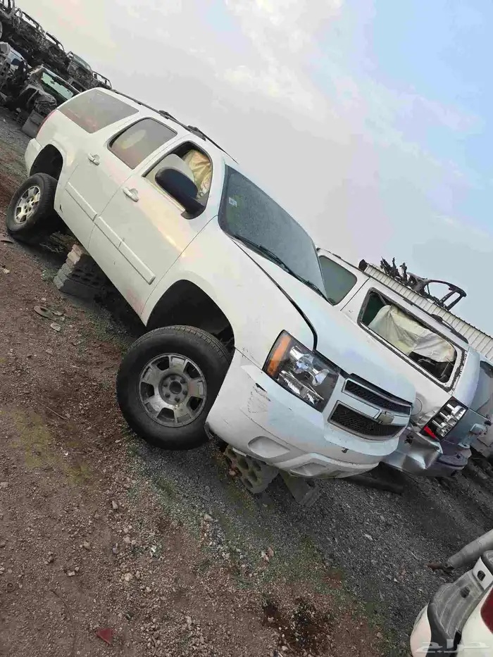 يوجدلدينا جميع انواع الجموس من 2007 لي 2020 3