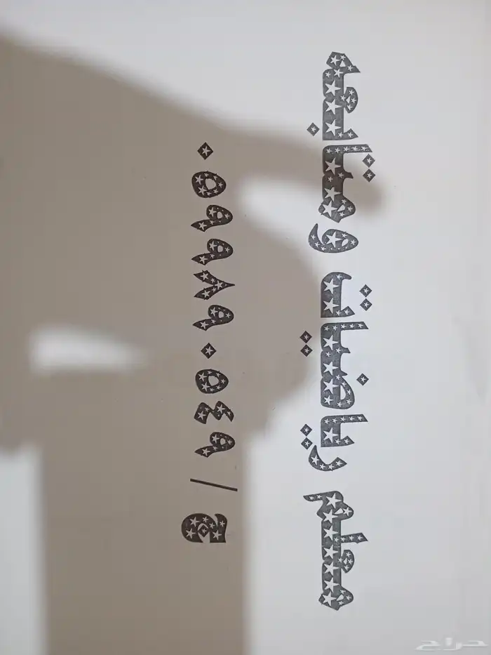جنوب الرياض 0
