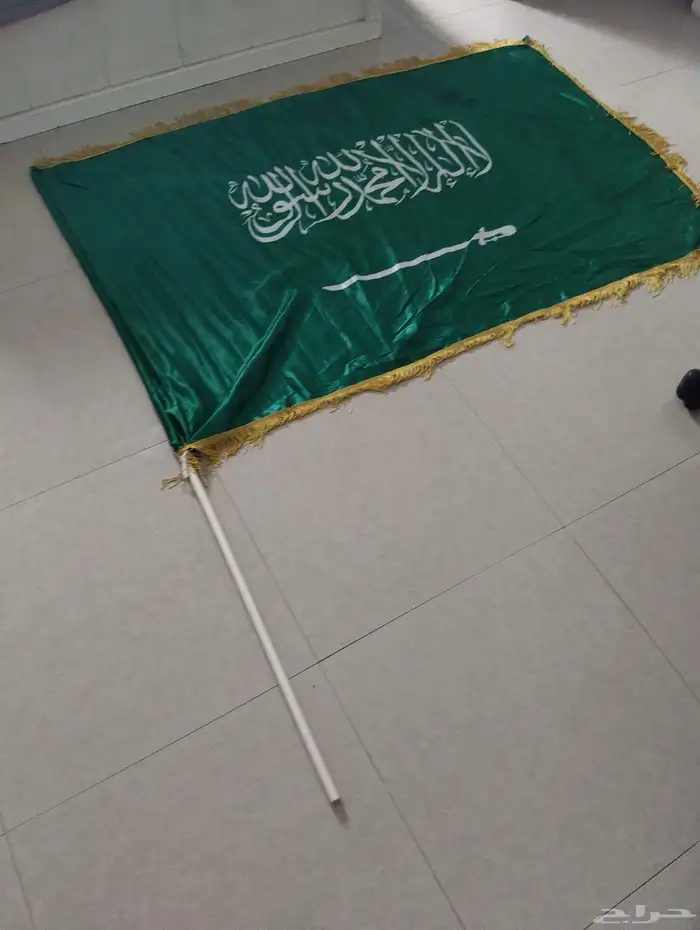 علم السعوديه كبير و بيت قطط 2