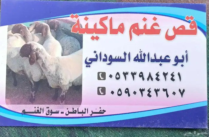 حلق غنم ماكينة 1