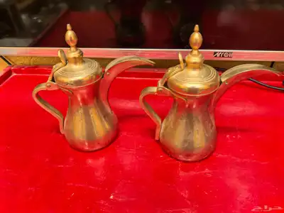 دلتين العساف 4
