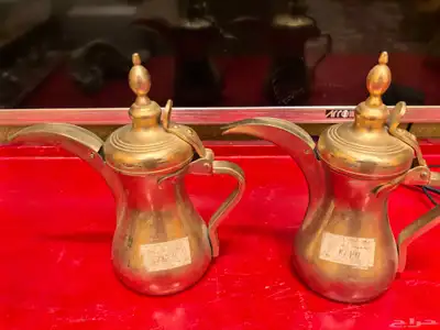 دلتين العساف 0