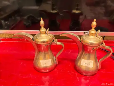 دلتين العساف 1