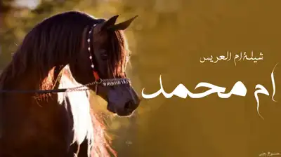 شيلات مناسبات بالاسماء منشدين شيلات وشعراء حسب الطلب 2