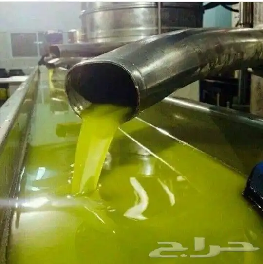 زيت زيتون بكر فاخر جدا قطفة أولى لكل المدن والقرى 3
