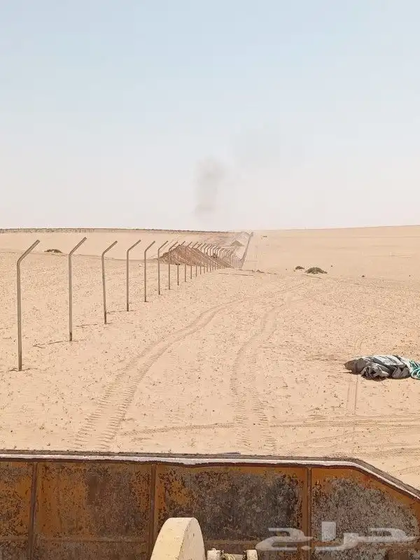 تركيب شبك وزراعه النخيل 3