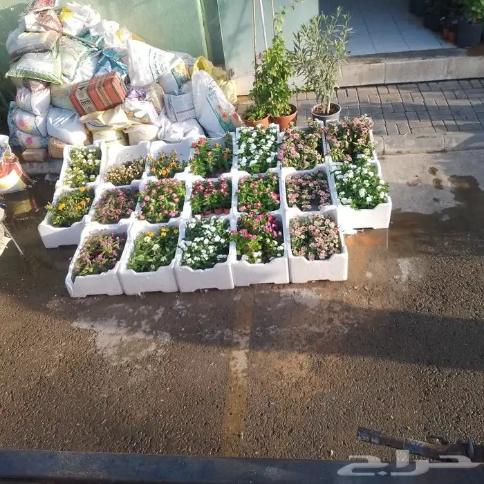 مشتل زراعي بأسعار مناسبة 17