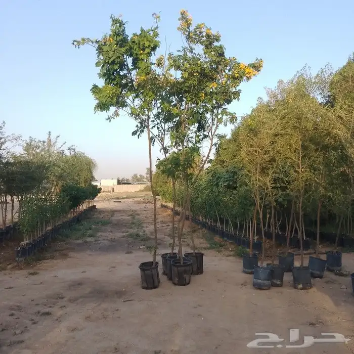 مشتل زراعي بأسعار مناسبة 18