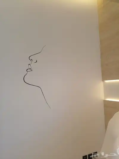 رسام .رسومات متنوعه 2