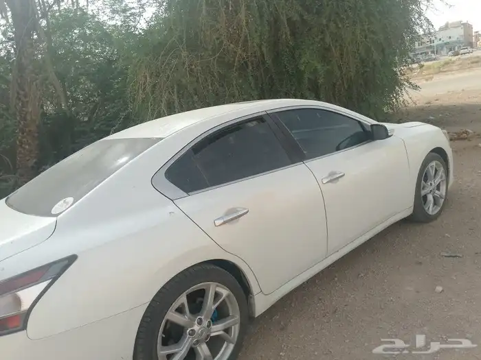 ماكسيما.للببع فيهاطنجره.قيرفقط.والسياره وتجي مابهاخلاف.المم 2