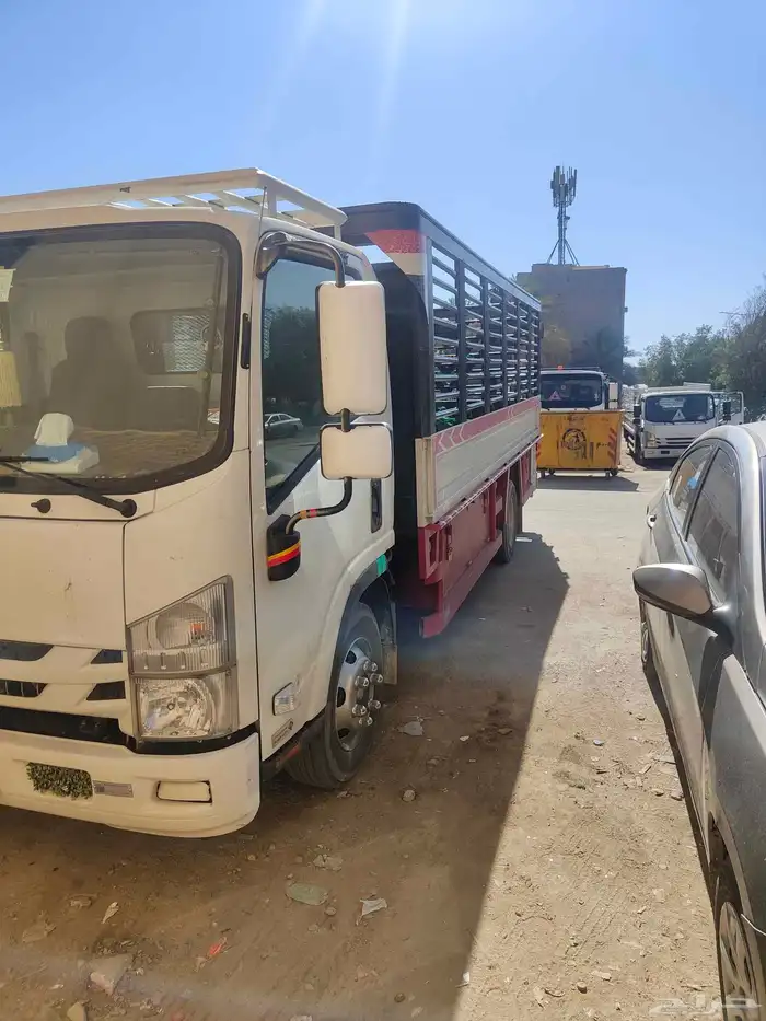 دينا للايجار بلمشوار داخل وخارج المملكة 0