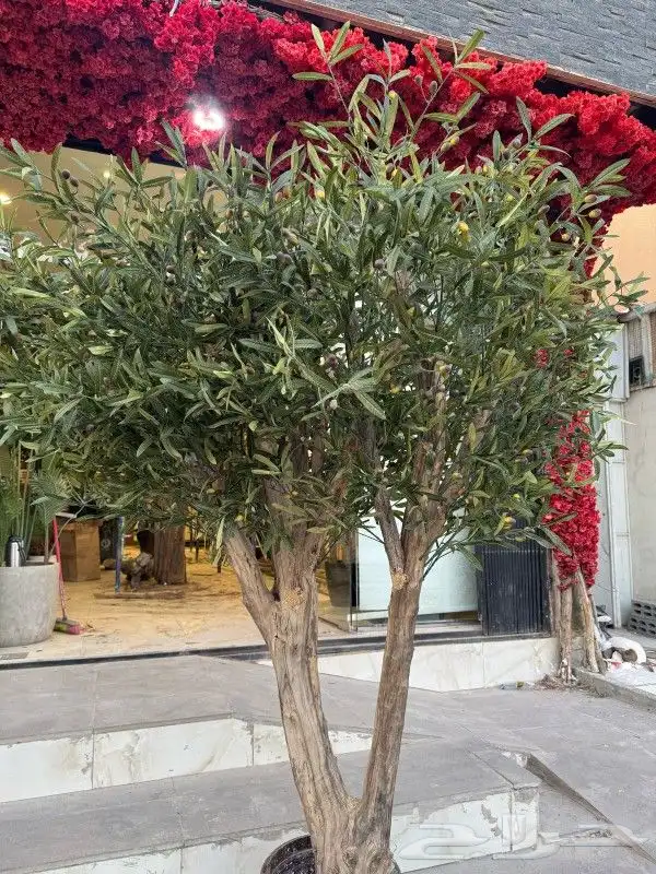 اشجار زيتون صناعي 2
