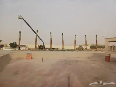 واشنطني نخيل زينه جميع المقاسات 0