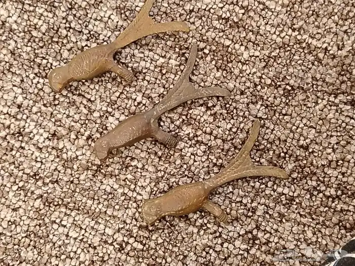 عصافير تراثيه 2