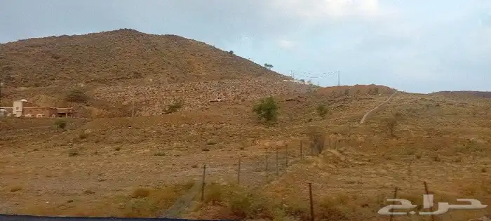 لجميع المقاولات. قص وبناء وتكحيل الحجر 10