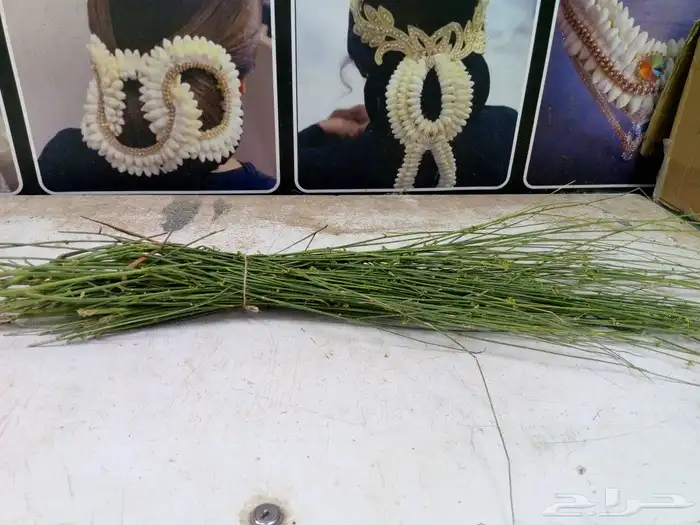 المرخ الجيزاني الطازج الاخضر الحله الرياض 0