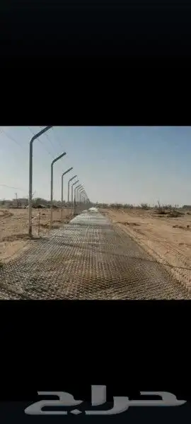 للبيع جميع انواع انخيل 3