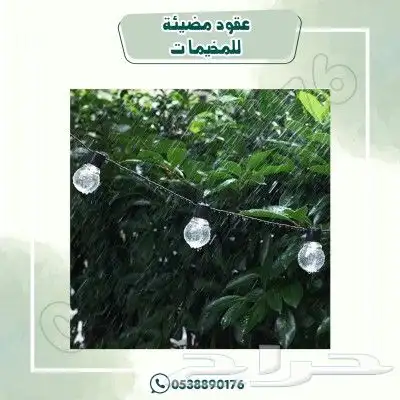 عقود مضيئة للمخيمات 6