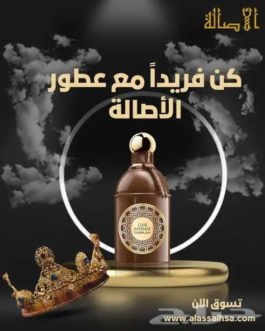 مصممة جرافيك لوجو وهويات بصرية 6