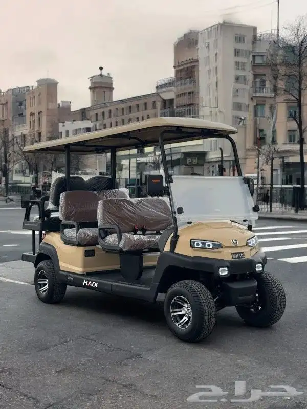 بيع وتأجير عربات قولف كار golf car 6