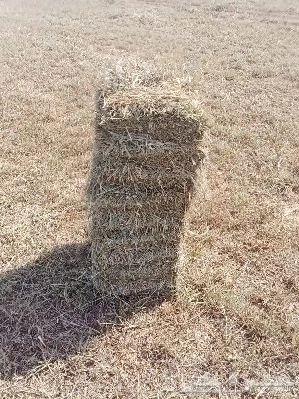 السلام عليكم 6