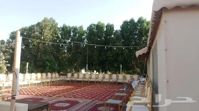 حفلات 6