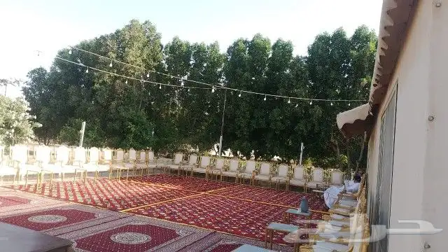 حفلات 1