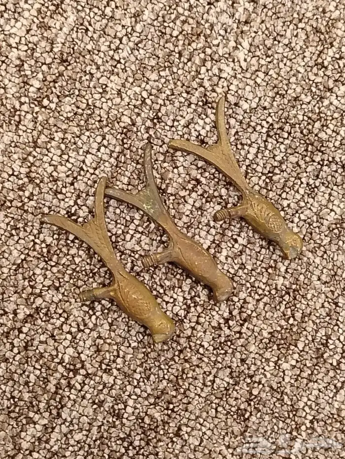 عصافير تراثيه 0