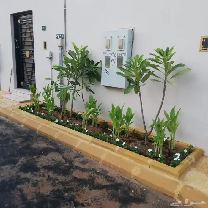 تنفيذ الحدائق 6