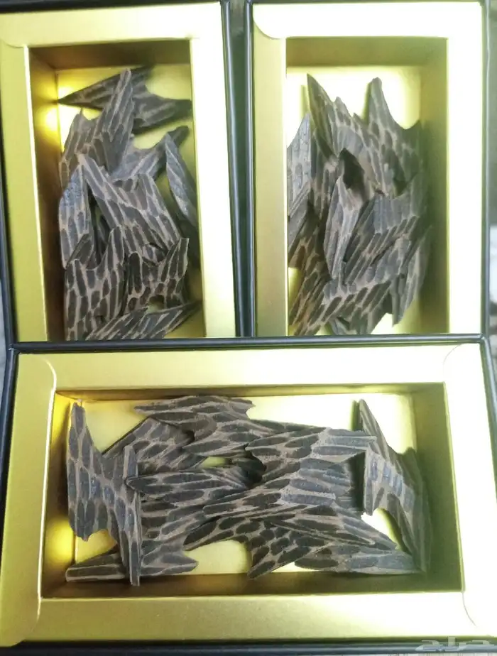 عود التايقر الفاخر 4