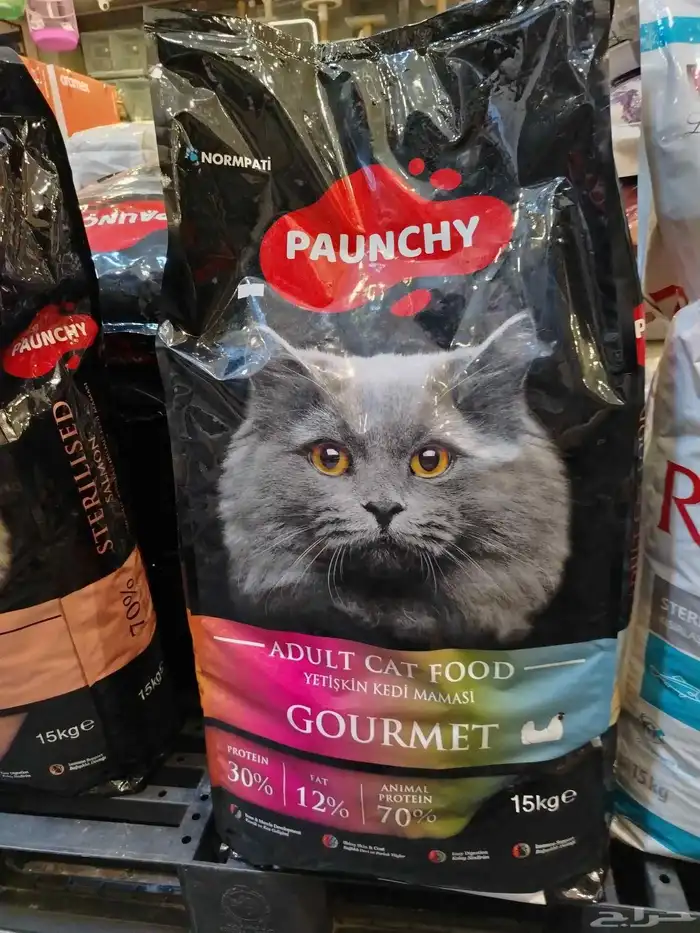 اكل. فشر. كناري. طيور حب. 2