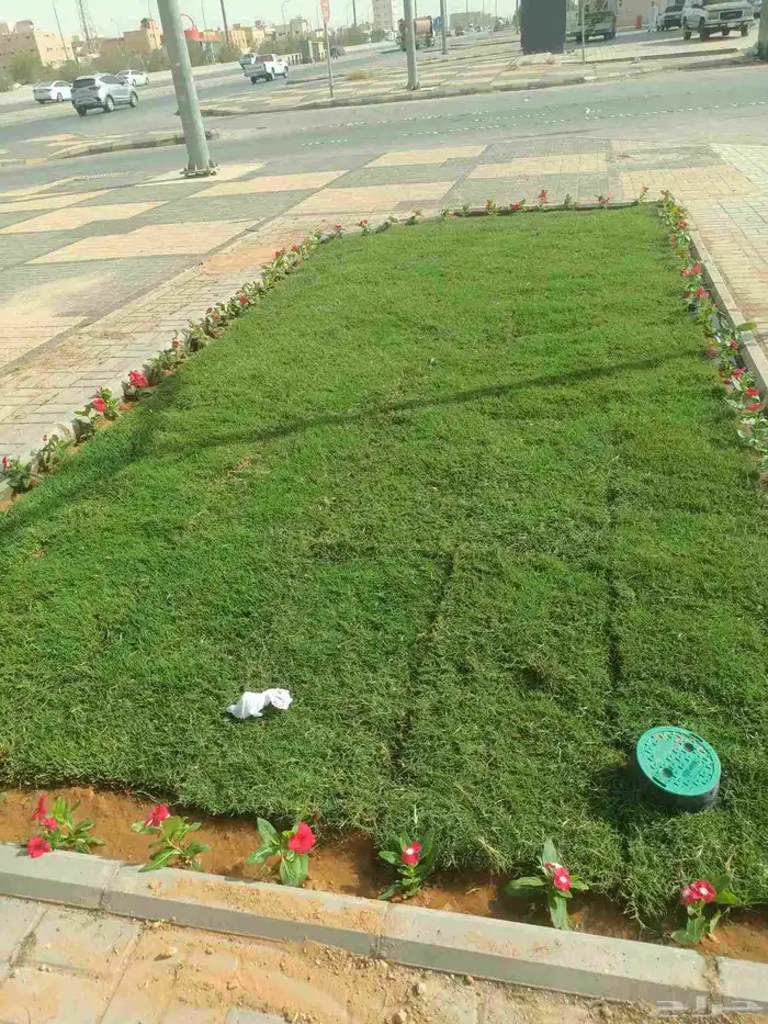 تنسيق حدائق 0