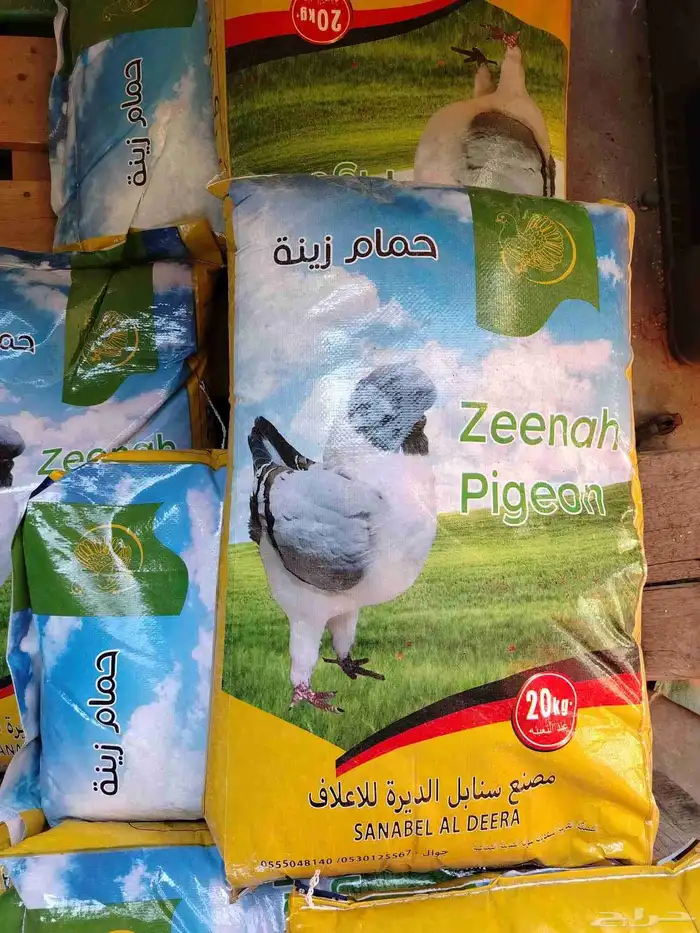 اكل. فشر. كناري. طيور حب. 4