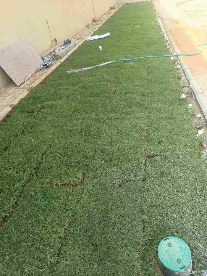 تنسيق حدائق 2